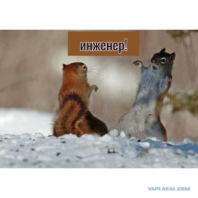 Развлечения инженеров