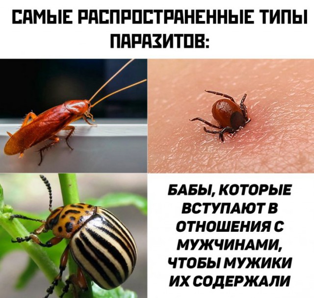 Немного картинок для настроения