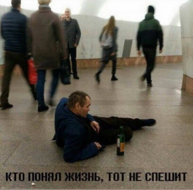 Скотсети и прочие интернеты 19.07.19