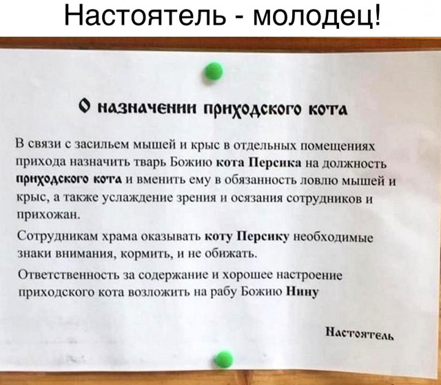 Картинки с надписями и анекдоты 19.07.19