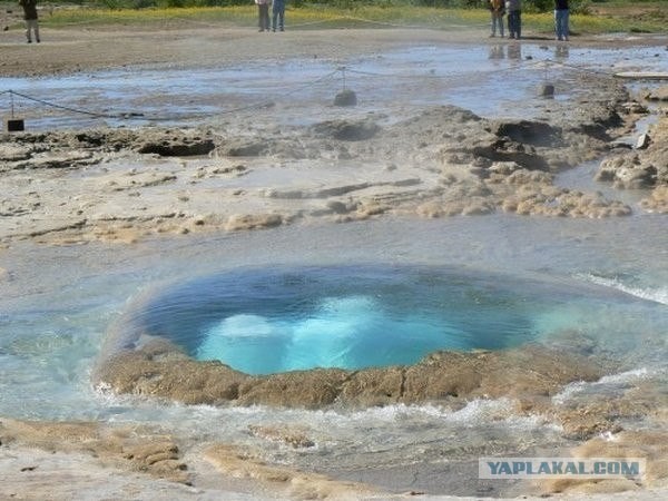 Гейзер шоу тайм (10 фото)