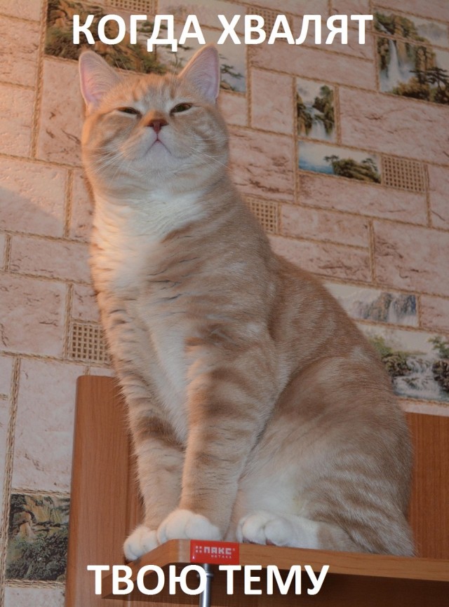 Коротко о ЯПлакал в картинках