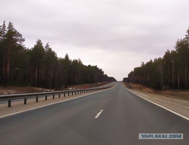 Пандемия. Коронавирус. Россия и мир. Последняя информация. Часть 11