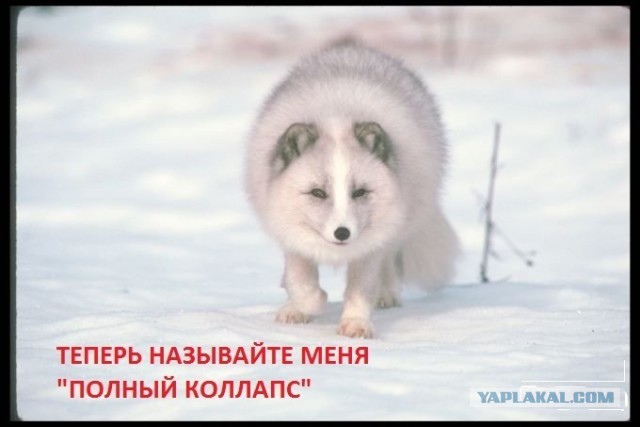 «До 6 мая может наступить полный коллапс»: владелец ТЦ «Атриум» о критическом положении, в котором оказались торговые центры