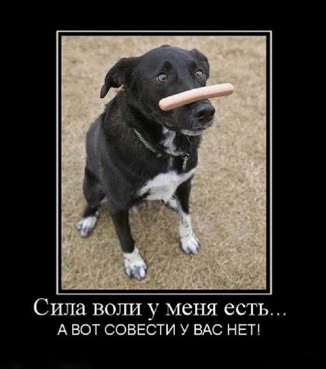 Пазитивные картинки на 18.05.2020