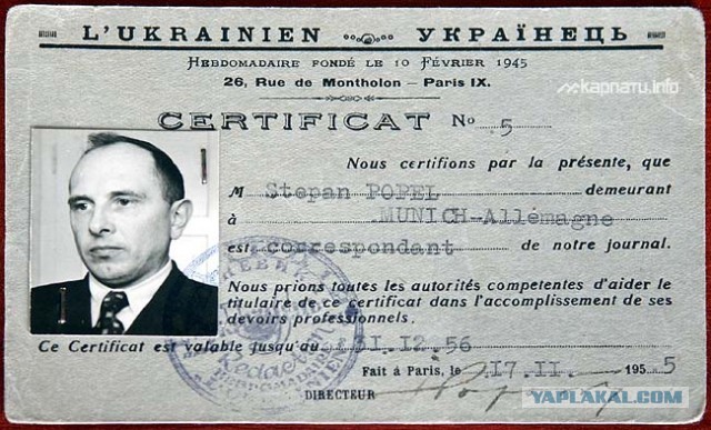 На Украине пьяный охотник застрелил в лесу семь человек