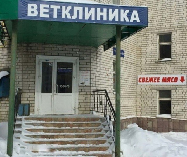 Удивительные факты о которых вы не знали. 10-й выпуск (юбилейный)