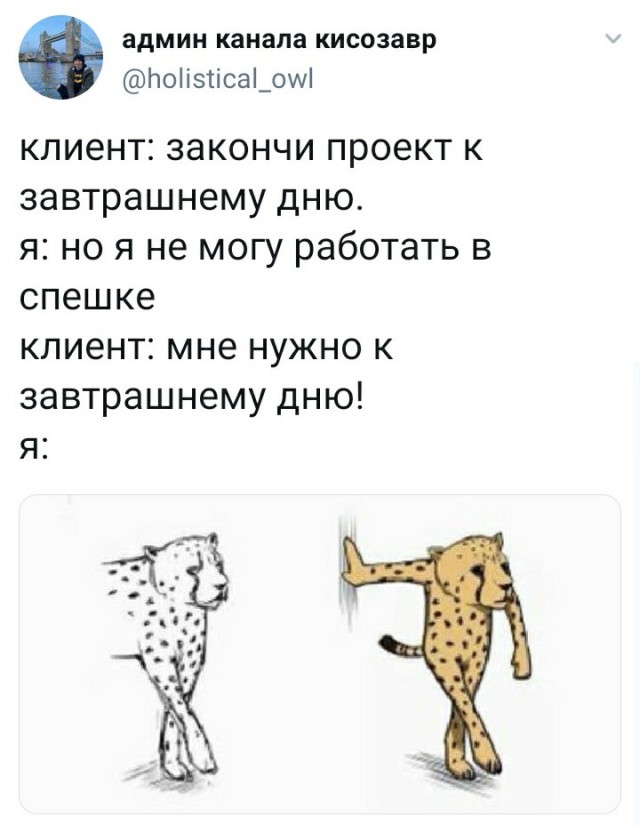 Всё не зря