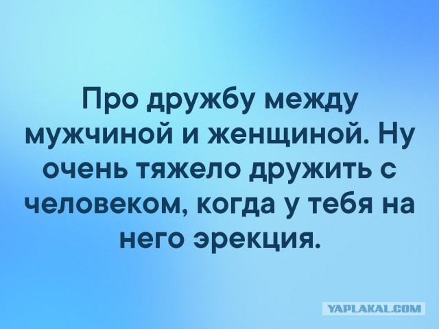 Фотки и картинки: юморные и красивые, забавные и милые 28.10.20