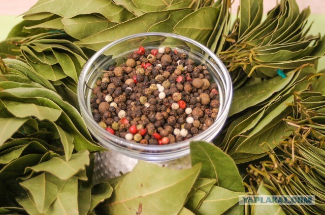 Борщ светлый