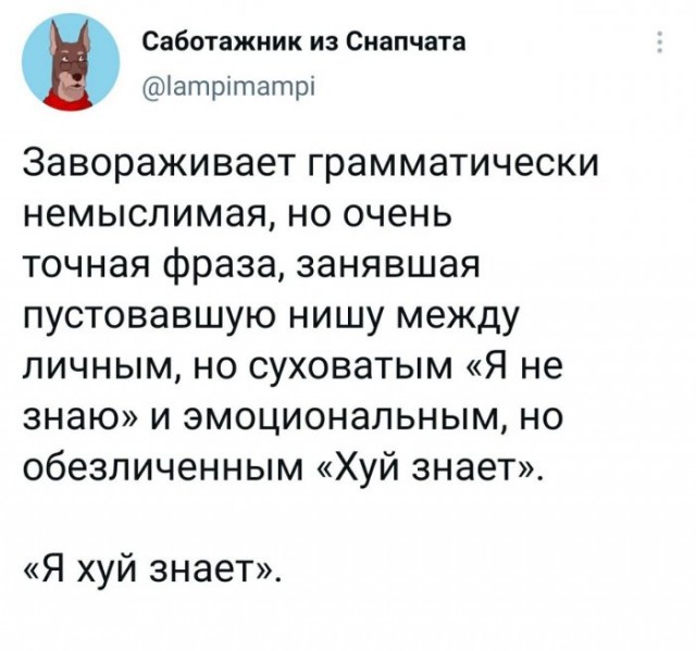 Картинки и мемы для настроения 24.02.2021
