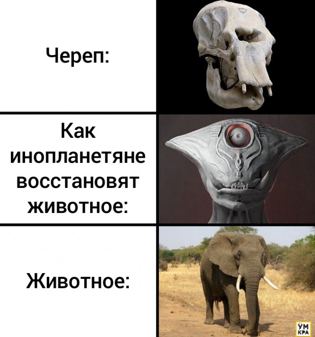 Череп крутится мем