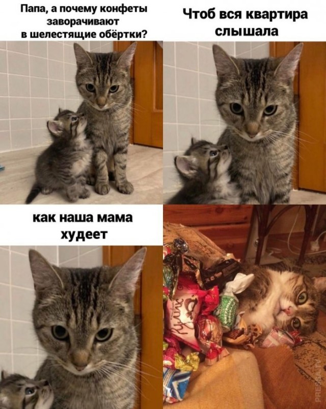 Картинки и мемы для настроения 28.04.2021