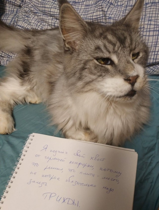 Подборка всякой живности