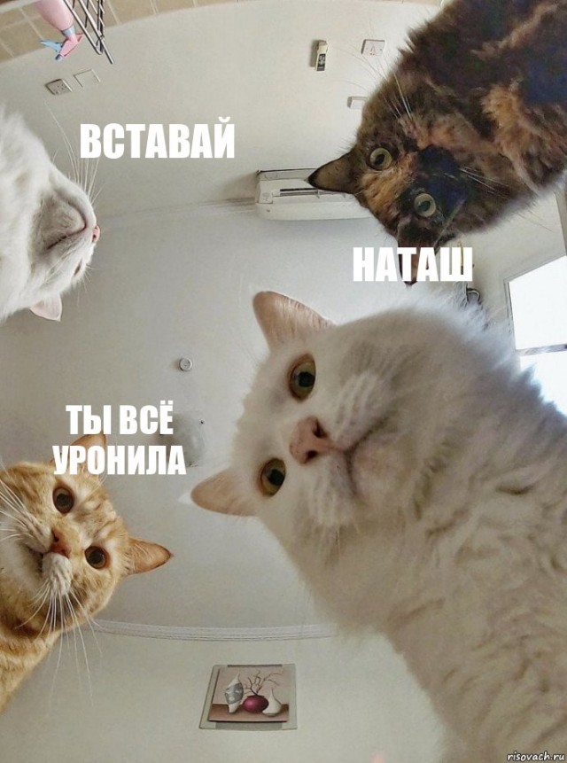 Не лезь Наташа