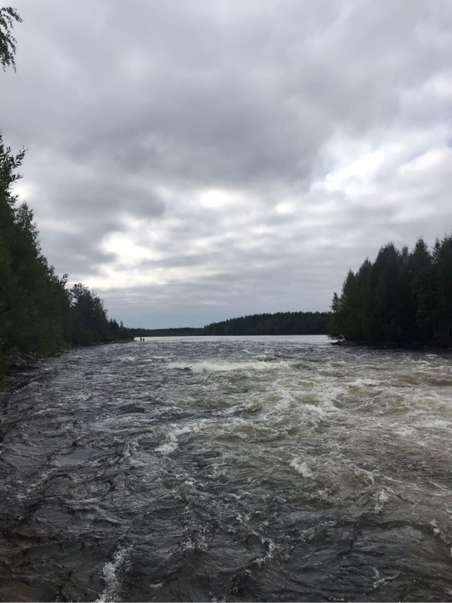Рыбов вам из Карелии