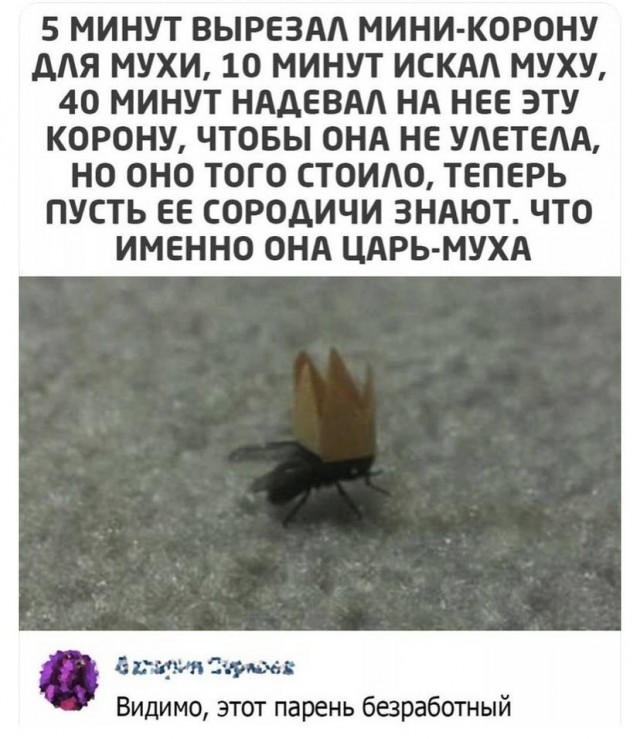Картинки и мемы, всем прекрасных выходных