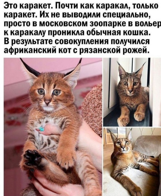 Картинки 23.10.21