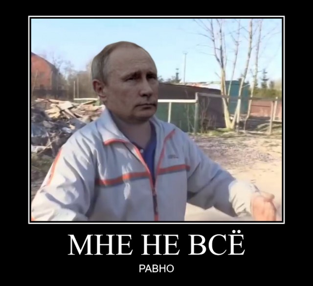 Вам не стыдно Владимир Владимирович?