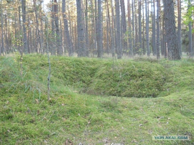 Прогулка по заброшенному военному полигону