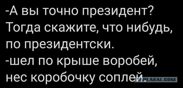 Путин заявил, что Россия щелкает оружие США на Украине «как орехи»