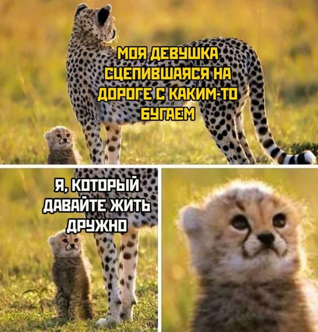 Картинки и мемы, всем хороших выходных