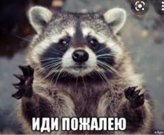 Когда уже родишь?