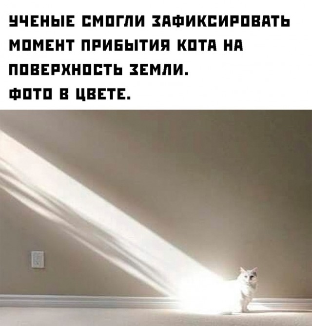 Весёлый полтишок 15.07.22