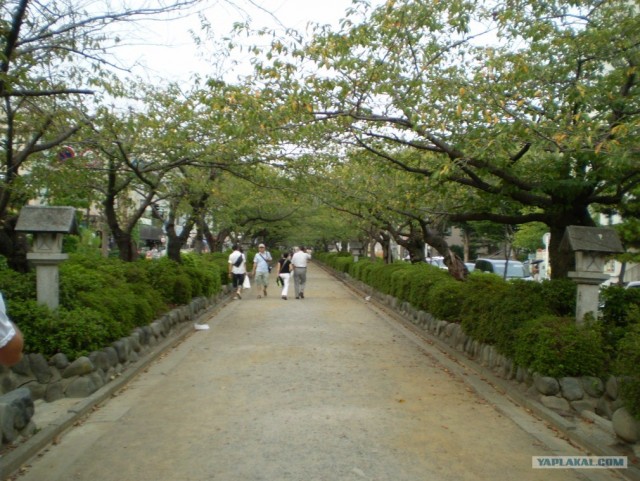 Далёкая Япония