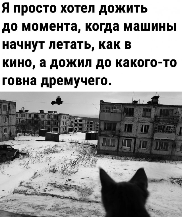 Так себе картинки 01.10.22