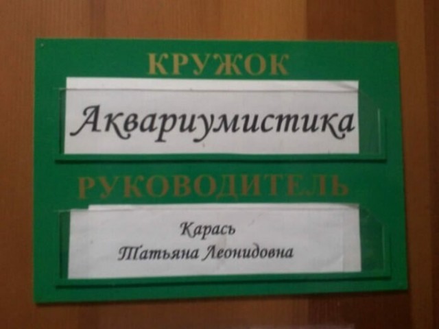 Смешные фамилии