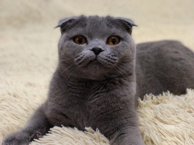 Ей весело