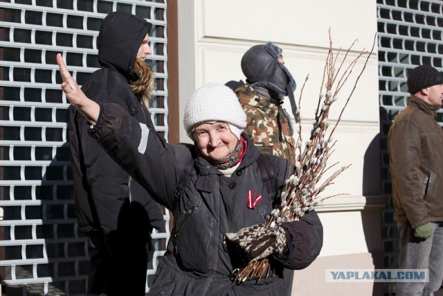 очередное шествие недобитых фашистов в латвии