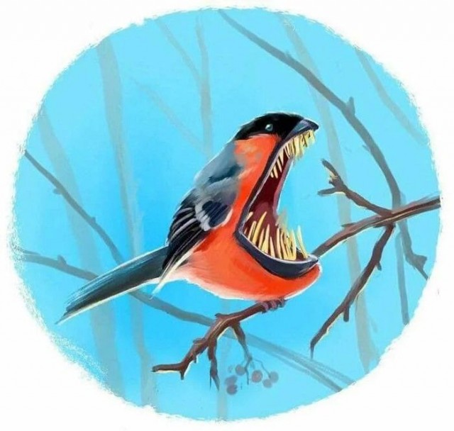 Снегирьеры