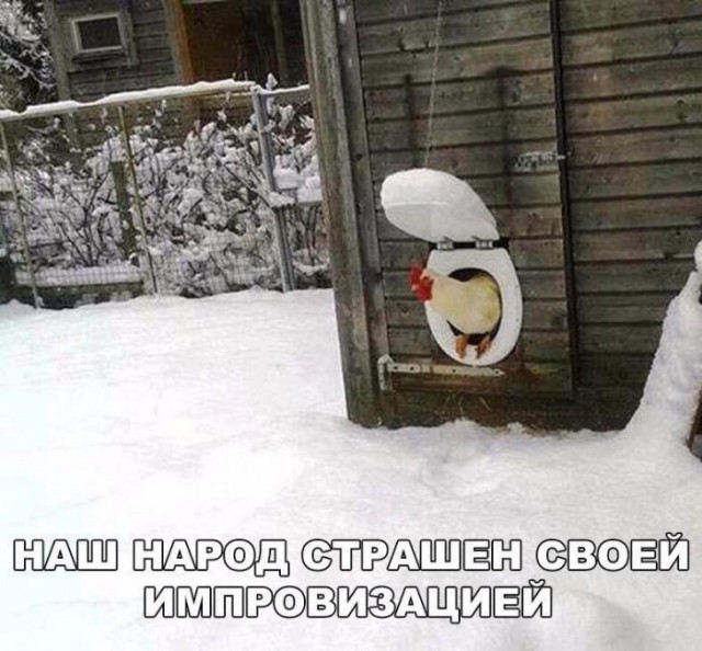 Приколы (баяны)