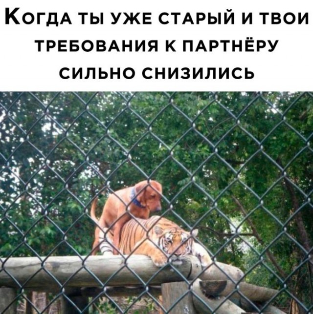 Немного картинок для настроения - 155