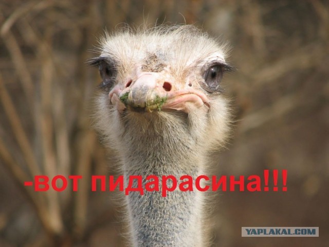 Лёгкий завтрак