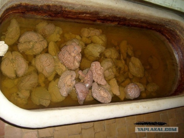 Красивое