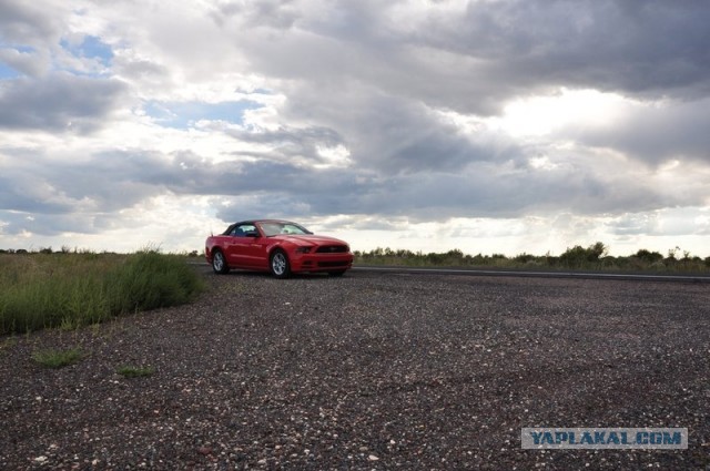 Ford Mustang напрокат