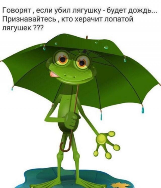 Весёлый полтишок 15.10.23