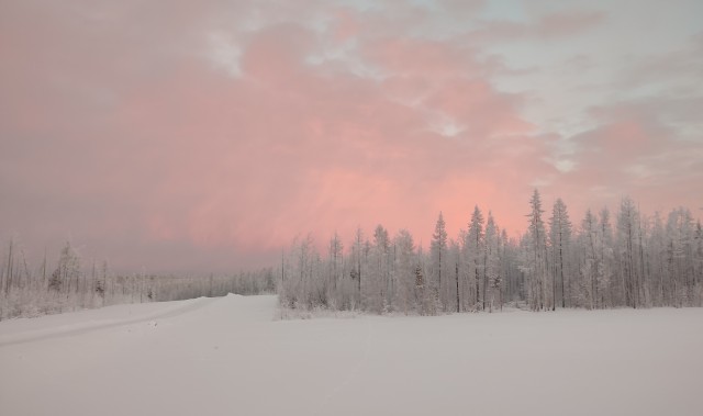 Зимняя красота