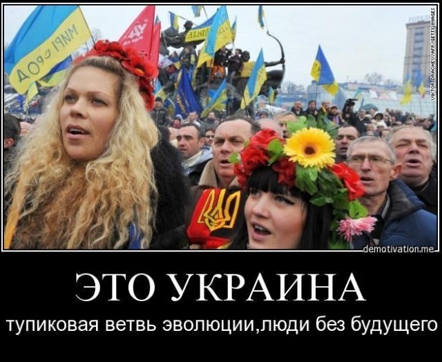 Коричневый Днепр