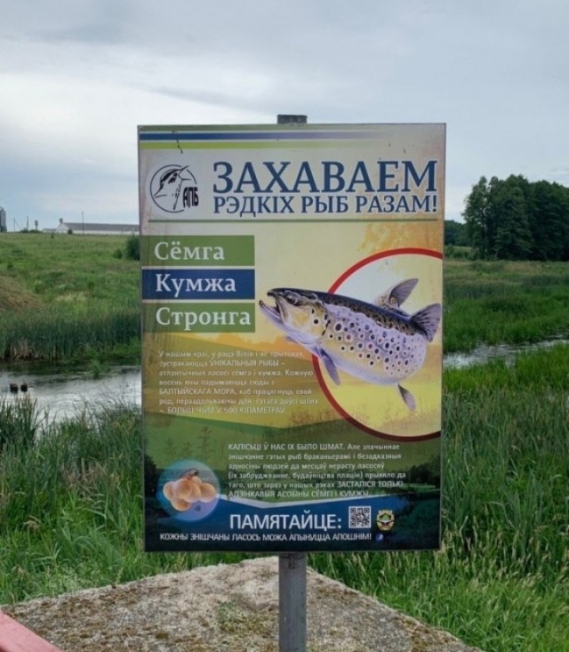Добро пожаловать в Беларусь