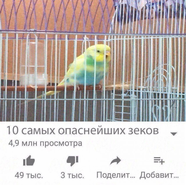Так себе картинки 27.03.24