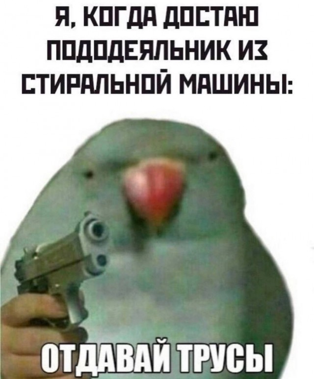 ТРРРидцать тРРРи от 21 мая