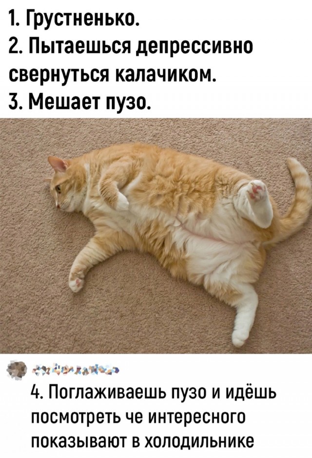Завалялось тут случайно немного забавных картинок