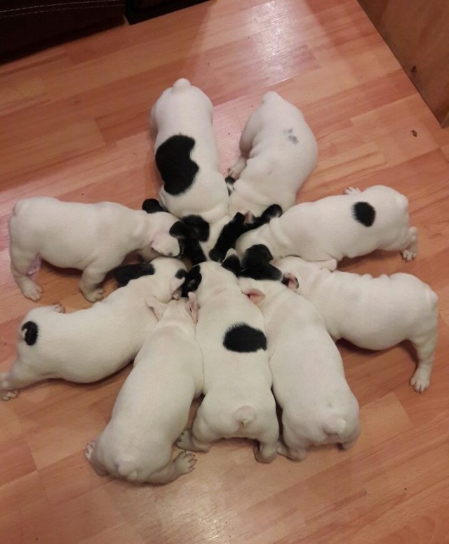 Чужих детей не бывает