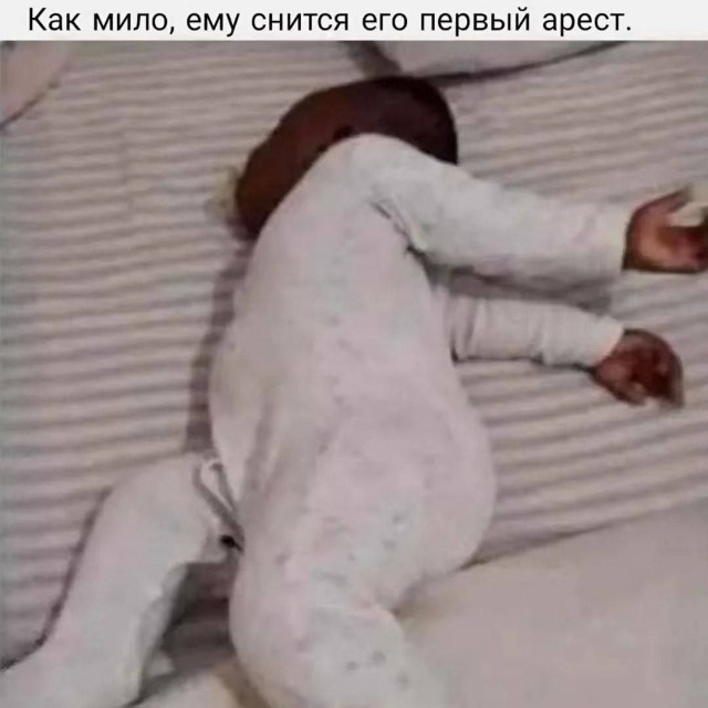 Деградируем и подпеваем - v. 2,0