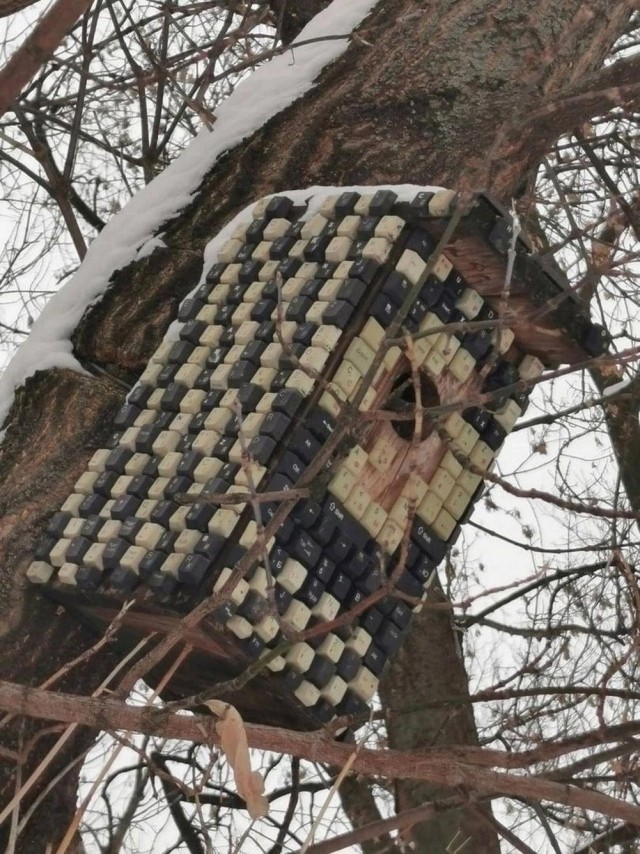Быстрая деградация