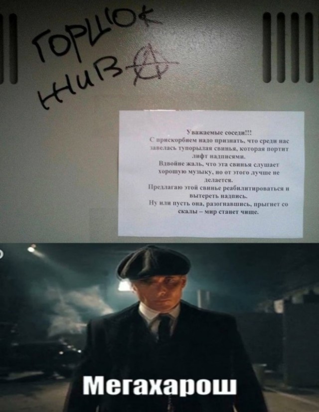 Веселые картинки в пятницу (11.04)